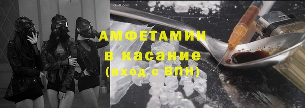 гидра Аркадак