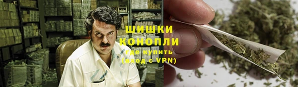 гидра Аркадак